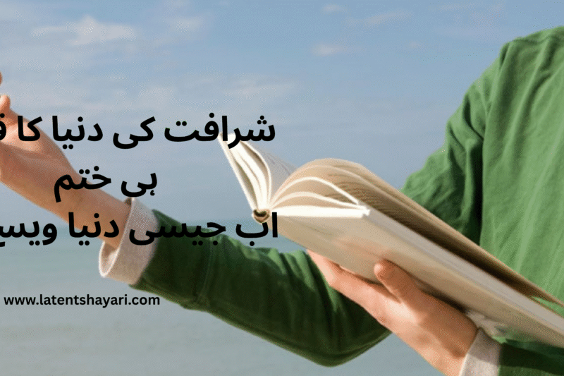 Attitude Poetry in Urdu 2 lines Text 2025